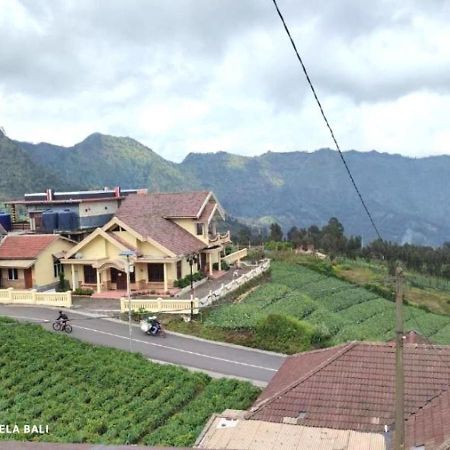 Tengger Indah Bromo By Abm Eksteriør bilde